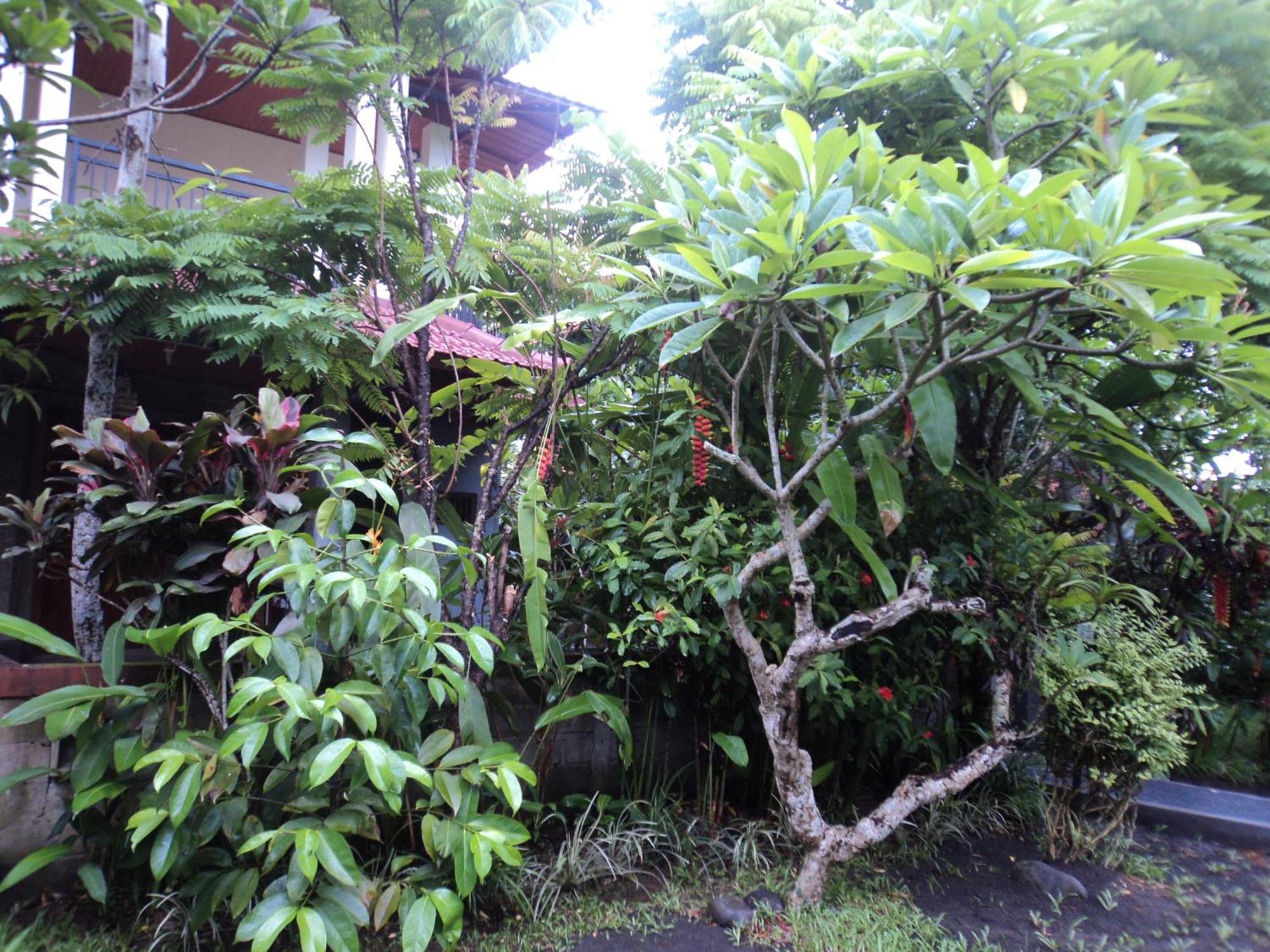 Villa Bhuana Alit Ubud Cameră foto