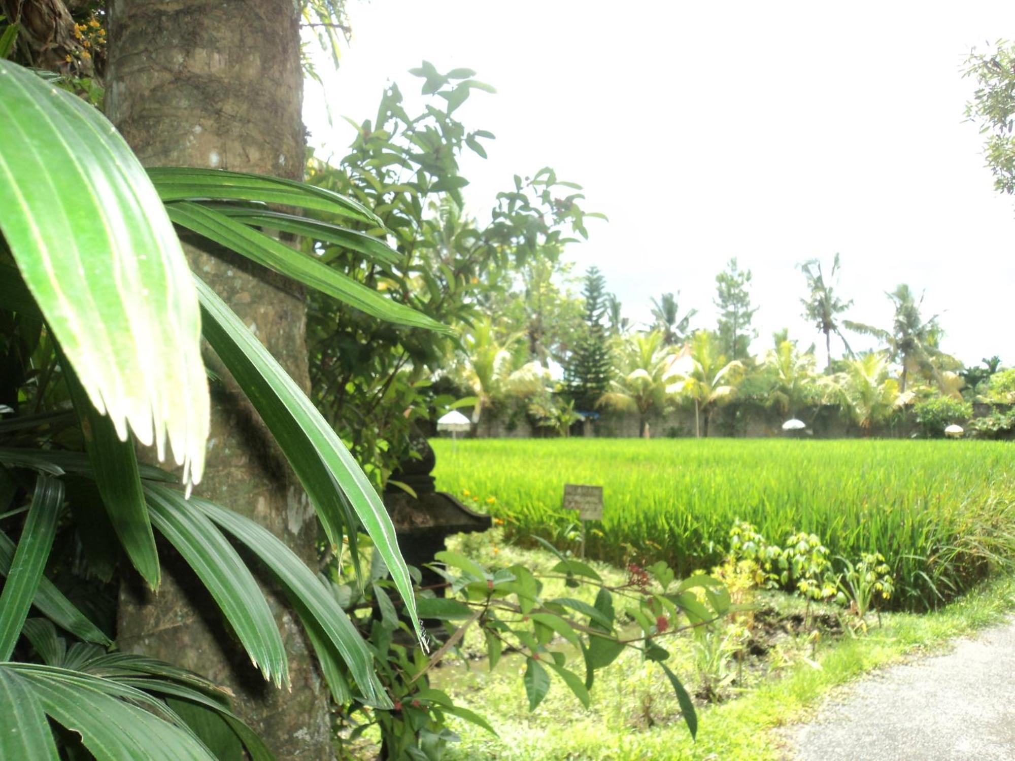Villa Bhuana Alit Ubud Cameră foto